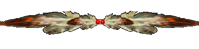 feather-bar.gif